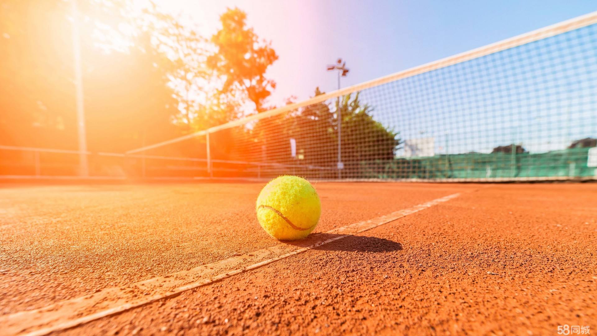 天赋异禀的 天赋异禀的