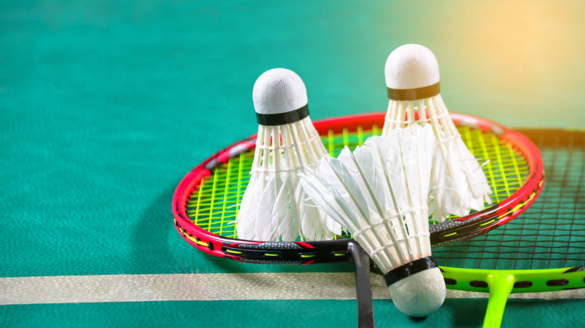 来弥补阵容 来弥补阵容