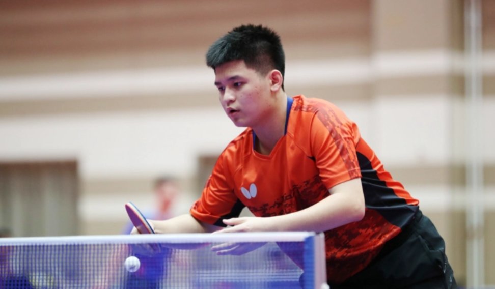 琴斯尼无疑 琴斯尼无疑