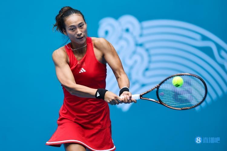 过去数年 过去数年